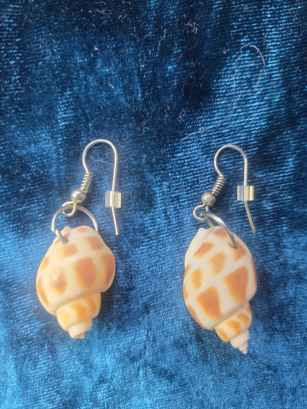 Handmade Shell Drop Earrings in Cream & Orange